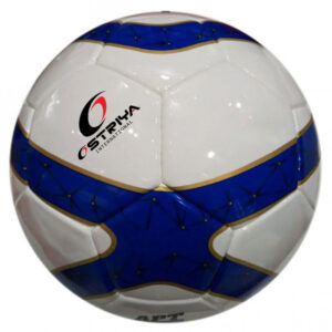 Thermo Bonded Soccer Ball-505