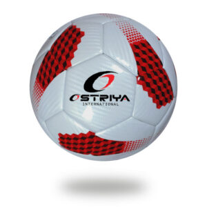 Thermo Bonded Soccer Ball-502