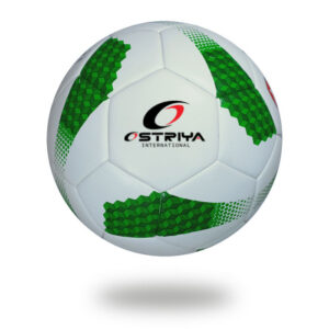 Thermo Bonded Soccer Ball-501