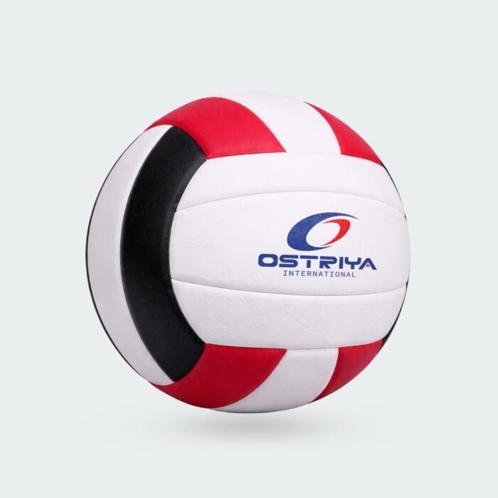 VOB06 Volleyball Balls