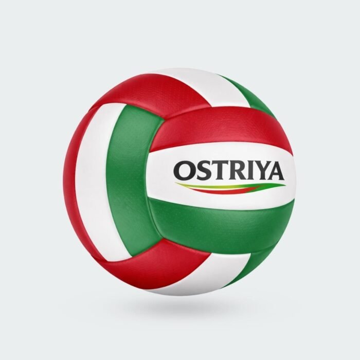 VOB02 Volleyball Balls