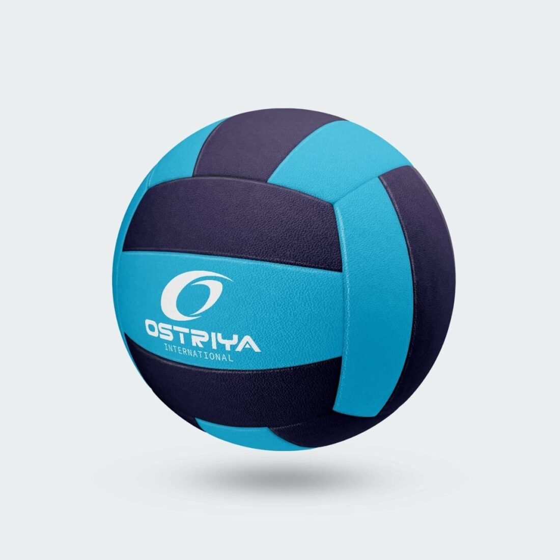 VOB09 Volleyball Balls
